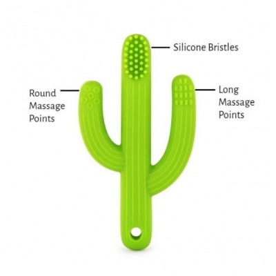 Collier à Machouiller : Cactus - Brosse à Dents